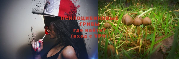 герыч Абаза