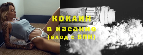 стаф Абинск