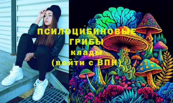 стаф Абинск