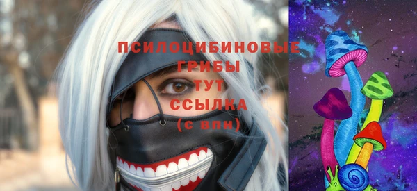 стаф Абинск