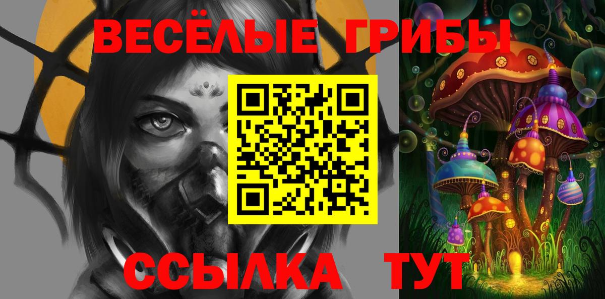 Галлюциногенные грибы Cubensis Богородицк