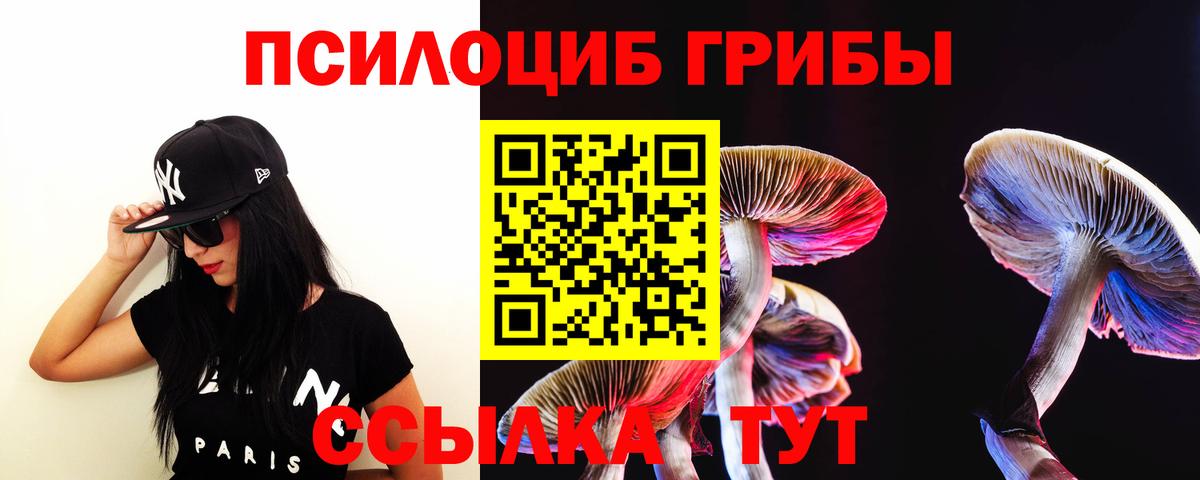 Галлюциногенные грибы мицелий  Вход с VPN  Галлюциногенные грибы мухоморы  Богородицк 